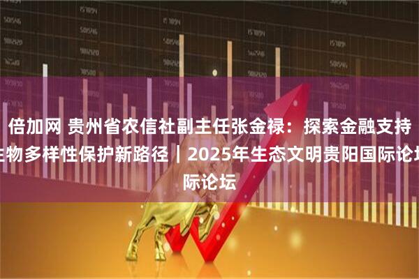 倍加网 贵州省农信社副主任张金禄：探索金融支持生物多样性保护新路径｜2025年生态文明贵阳国际论坛