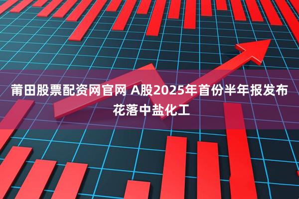 莆田股票配资网官网 A股2025年首份半年报发布 花落中盐化工