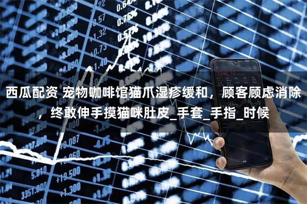 西瓜配资 宠物咖啡馆猫爪湿疹缓和，顾客顾虑消除，终敢伸手摸猫咪肚皮_手套_手指_时候