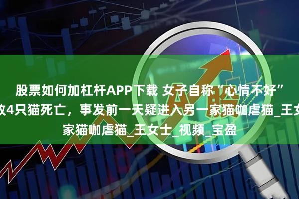 股票如何加杠杆APP下载 女子自称“心情不好”在猫咖店虐猫致4只猫死亡，事发前一天疑进入另一家猫咖虐猫_王女士_视频_宝盈