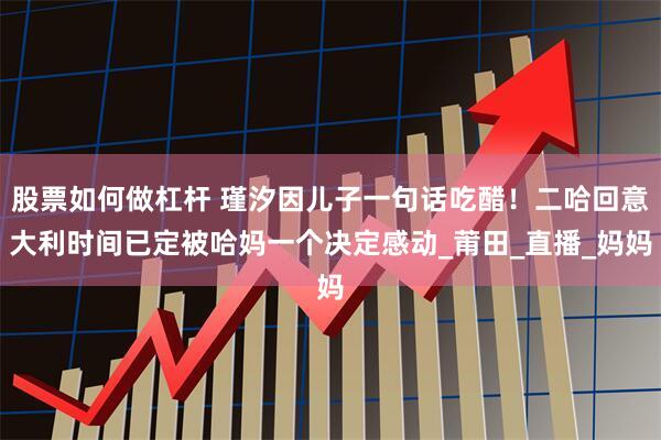 股票如何做杠杆 瑾汐因儿子一句话吃醋!二哈回意大利时间已定被哈妈一个决定感动_莆田_直播_妈妈