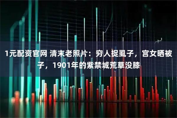 1元配资官网 清末老照片：穷人捉虱子，宫女晒被子，1901年的紫禁城荒草没膝