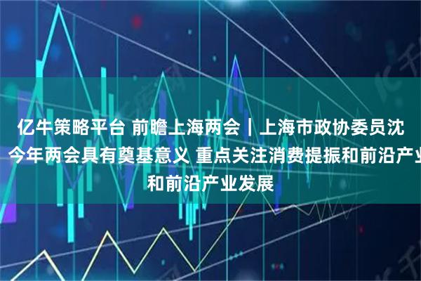 亿牛策略平台 前瞻上海两会｜上海市政协委员沈开艳：今年两会具有奠基意义 重点关注消费提振和前沿产业发展