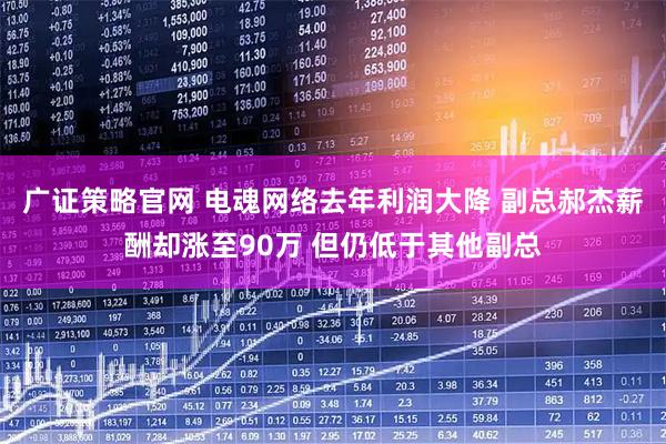 广证策略官网 电魂网络去年利润大降 副总郝杰薪酬却涨至90万 但仍低于其他副总