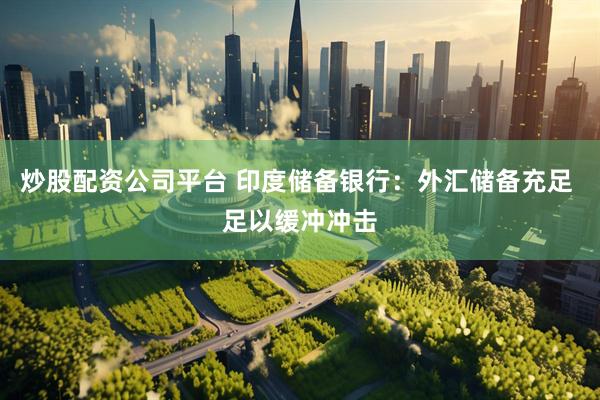 炒股配资公司平台 印度储备银行：外汇储备充足 足以缓冲冲击